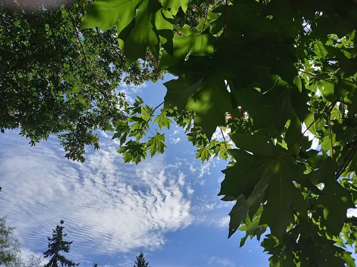 West Hill Mobile Manor Picture 1