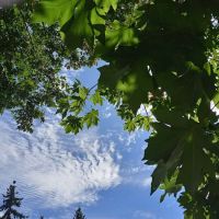 West Hill Mobile Manor ico