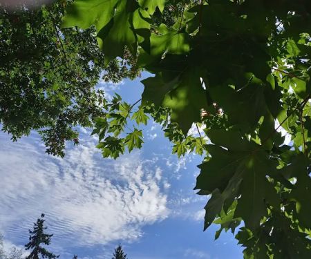 West Hill Mobile Manor