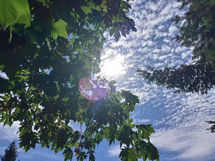 West Hill Mobile Manor Picture 2