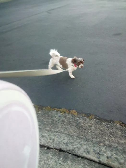 Pantera Lago Estates Picture 1