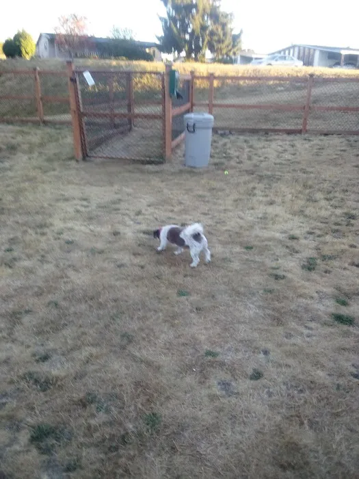 Pantera Lago Estates Picture 2