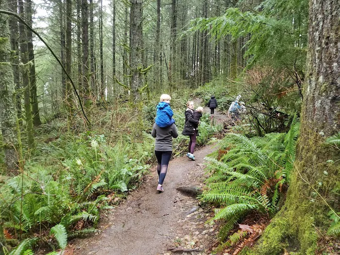 23800 Tiger Mountain Picture 1