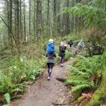 23800 Tiger Mountain