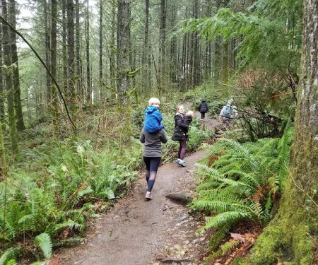 23800 Tiger Mountain