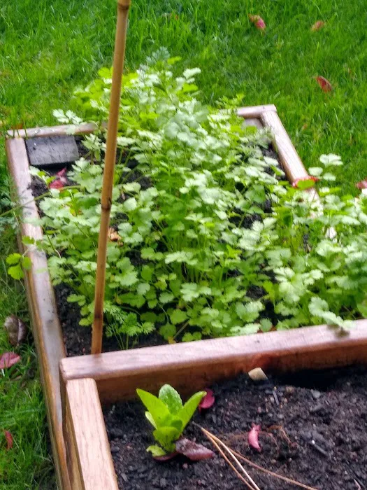 Fernridge Mobile Home Estates Picture 2