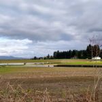 Fernridge Mobile Home Estates