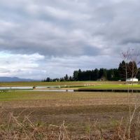 Fernridge Mobile Home Estates ico