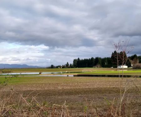 Fernridge Mobile Home Estates