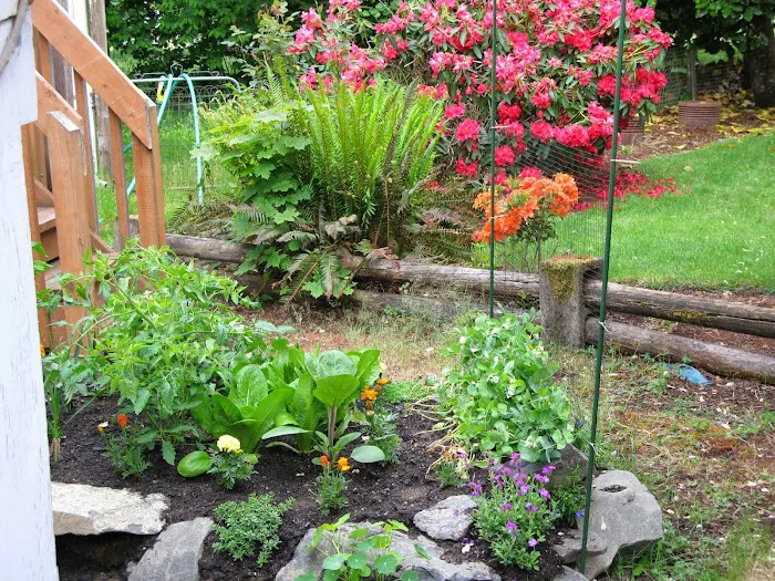 Fernridge Mobile Home Estates Picture 8