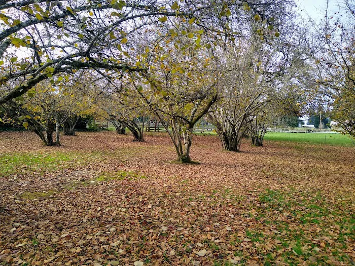 Fernridge Mobile Home Estates Picture 10