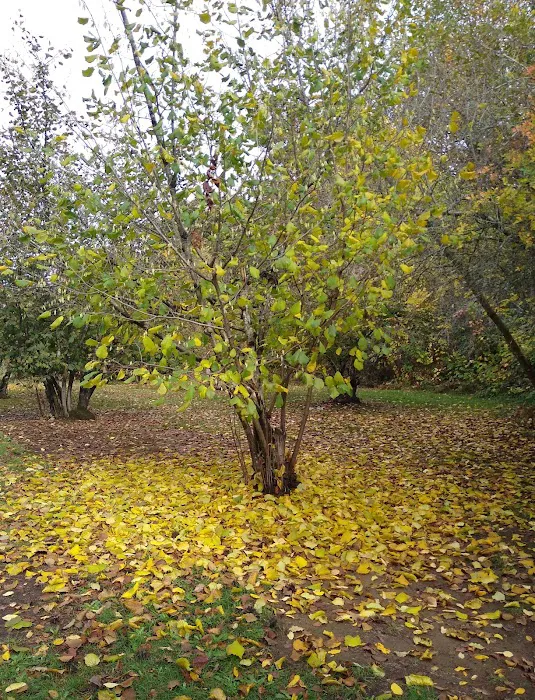 Fernridge Mobile Home Estates Picture 6