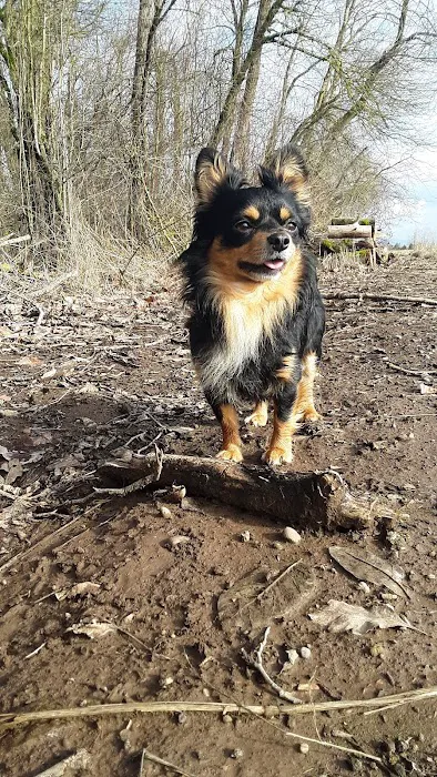 Rosewood Mobile Home Park Picture 9