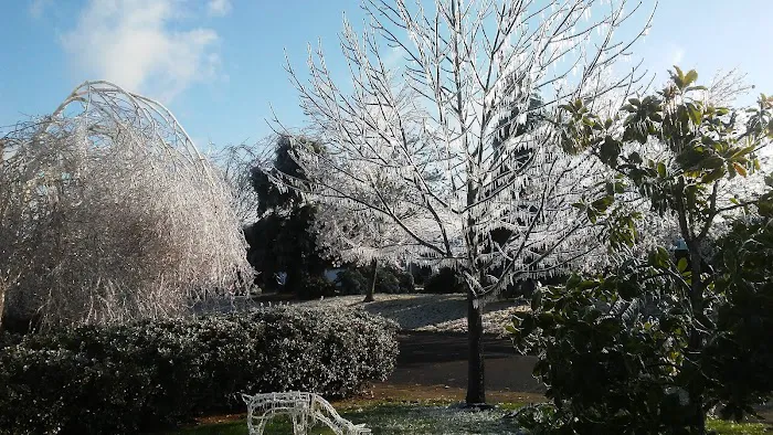 Rosewood Mobile Home Park Picture 8