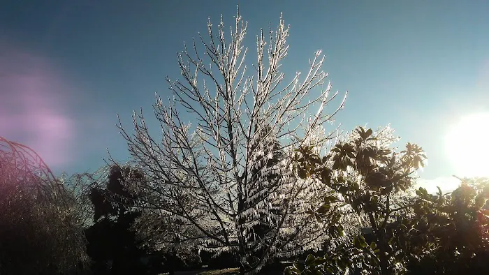 Rosewood Mobile Home Park Picture 1