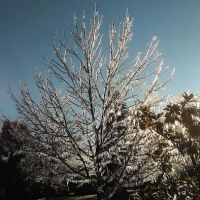 Rosewood Mobile Home Park ico