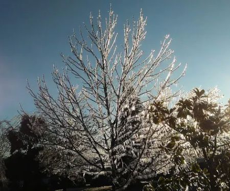 Rosewood Mobile Home Park