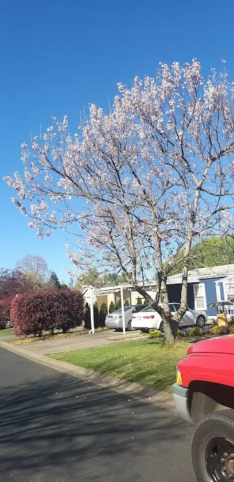 Rosewood Mobile Home Park Picture 4