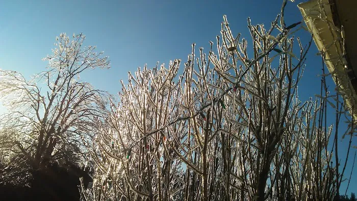 Rosewood Mobile Home Park Picture 3