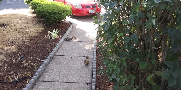 Rosewood Mobile Home Park Picture 2