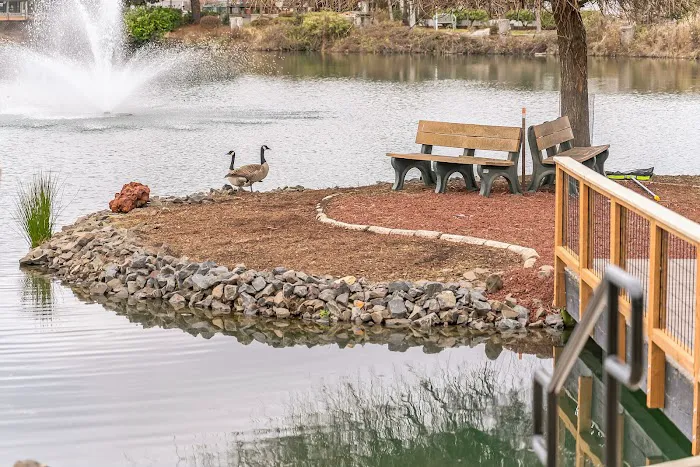 Lakewood Vista, 55+ Lifestyle Manufactured Home Community Picture 7