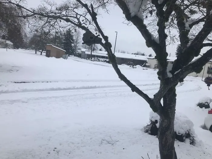 Daneland Mobile Home Park Picture 3