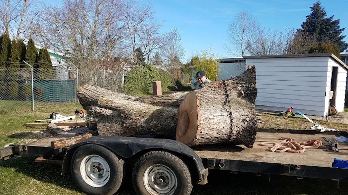 Daneland Mobile Home Park Picture 4