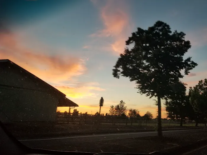 Daneland Mobile Home Park Picture 5