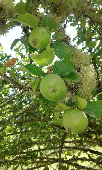 Daneland Mobile Home Park Picture 2