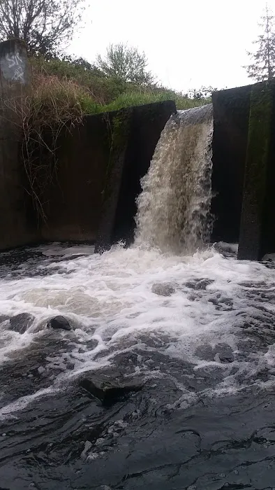 Fairview Mobile Home Court Picture 14