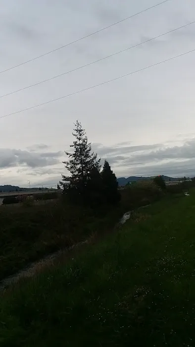 Fairview Mobile Home Court Picture 16