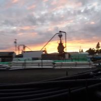 Garfield Trailer Park ico