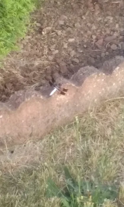 Hidden Meadows Picture 1