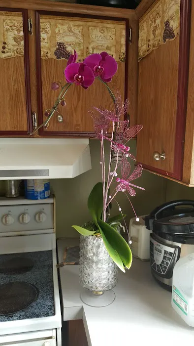 Hidden Meadows Picture 5