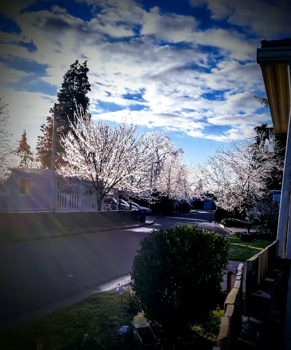 M & M Land & Cattle Co Picture 5