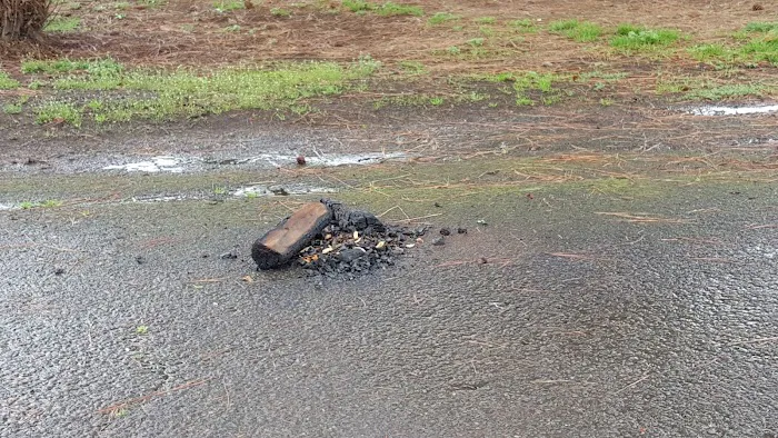 M & M Land & Cattle Co Picture 3