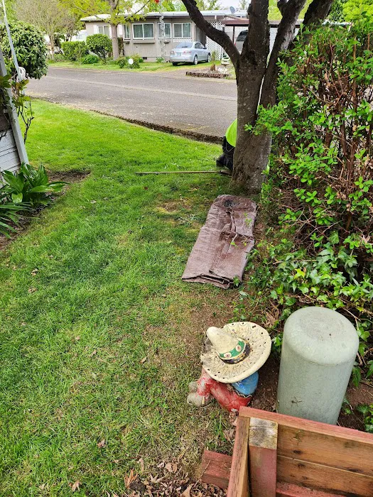 Midway Manor Picture 8