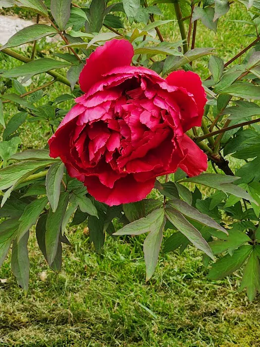 Midway Manor Picture 2