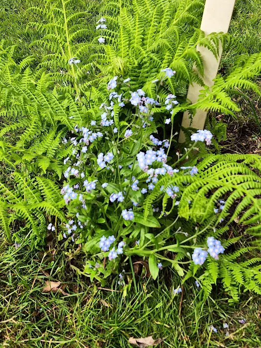 Midway Manor Picture 7