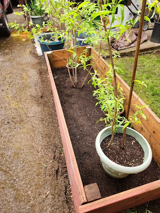 Midway Manor Picture 10