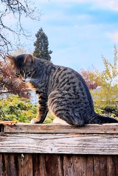 Midway Manor Picture 1