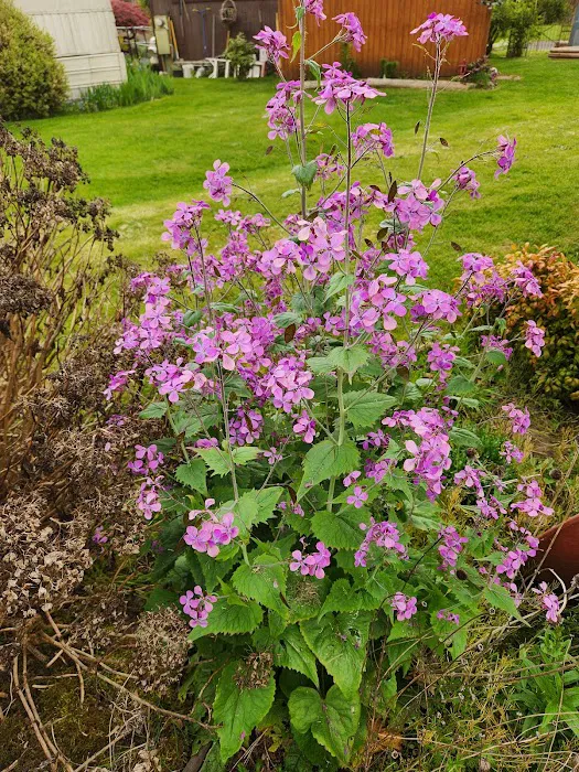 Midway Manor Picture 9