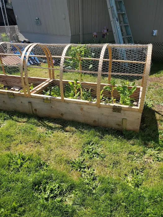 SpringLane Mobile Village Picture 6