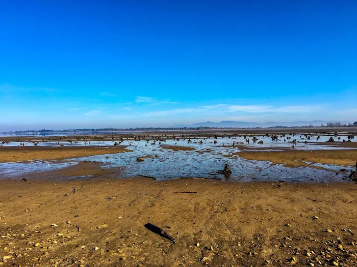 Fern Ridge Shores RV Park Picture 2