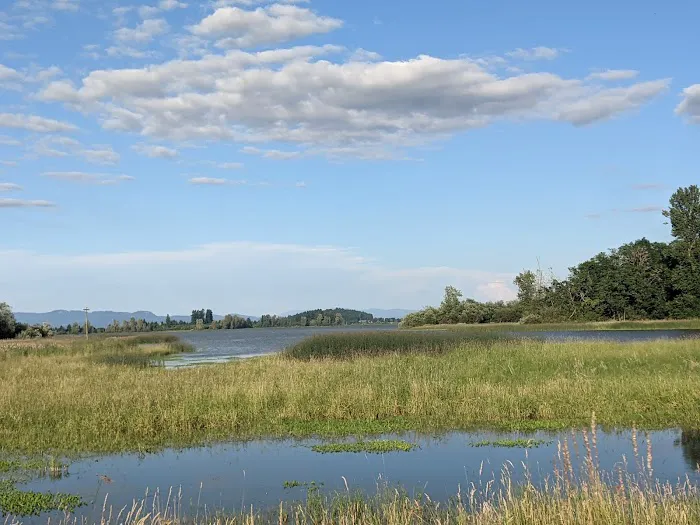 Fern Ridge Shores RV Park Picture 3