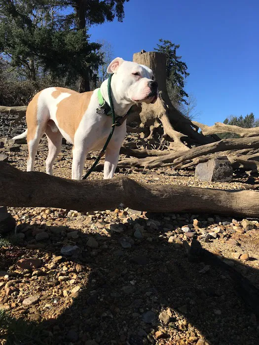 Fern Ridge Shores RV Park Picture 5