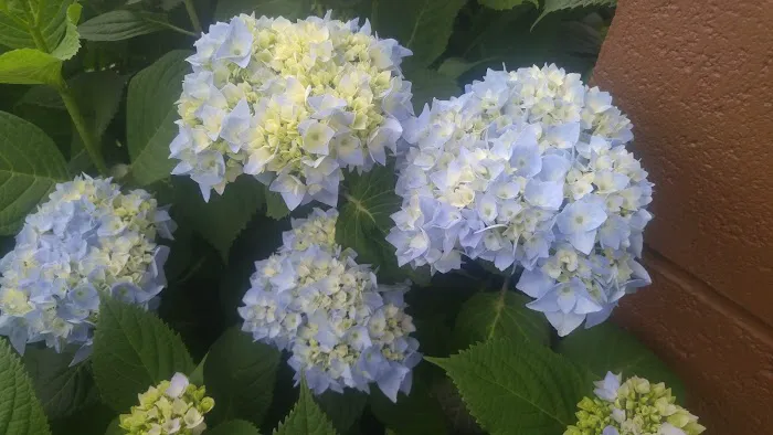 Fern Ridge Shores RV Park Picture 4