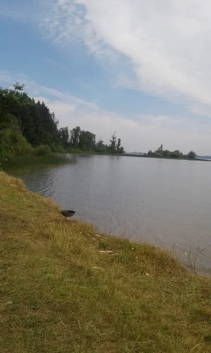 Fern Ridge Shores RV Park Picture 7