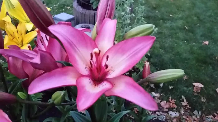 River Bank RV Park Picture 2