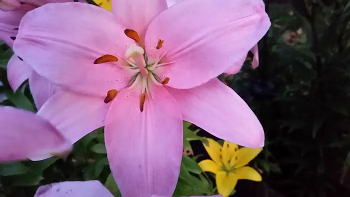 River Bank RV Park Picture 1